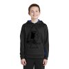 Youth Sport Wick ® Fleece Colorblock Hooded Pullover Thumbnail