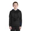 Youth Sport Wick ® Fleece Colorblock Hooded Pullover Thumbnail